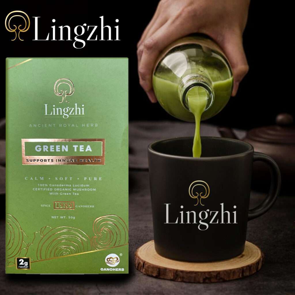 Reishi Mushroom Green Tea