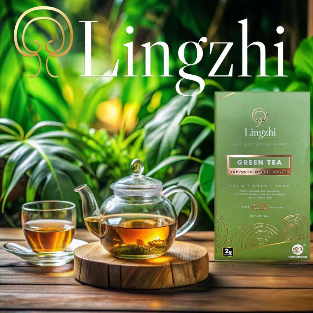 Reishi Mushroom Green Tea