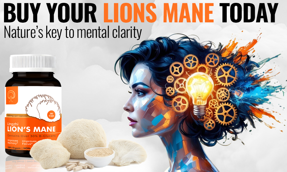 Buy your Lions Mane