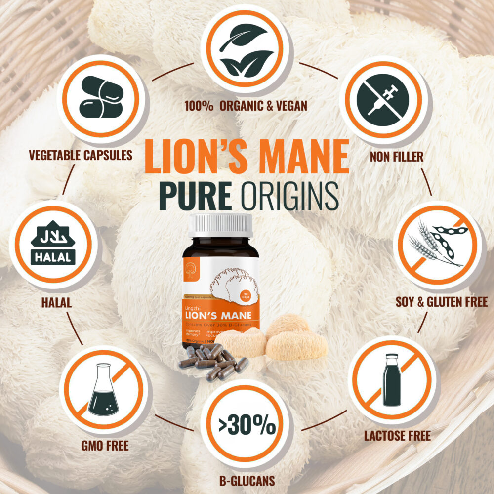Lion's Mane Capsules - Image 2