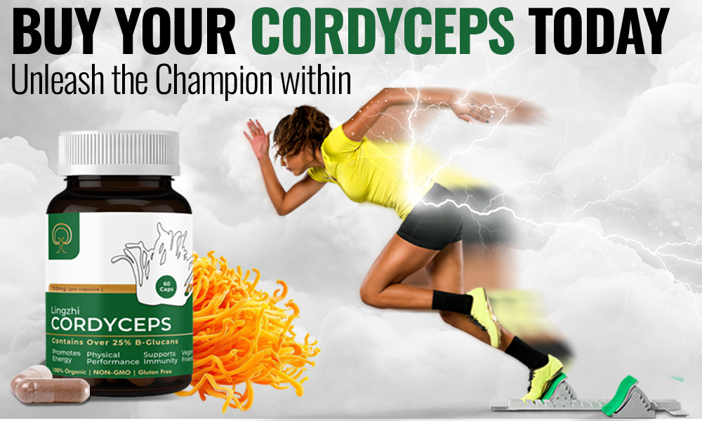 Banner website Cordyceps