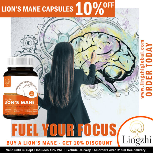 Fuel your Focus