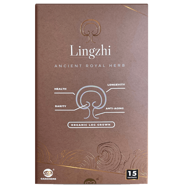Reishi Lingzhi Latte - Image 2