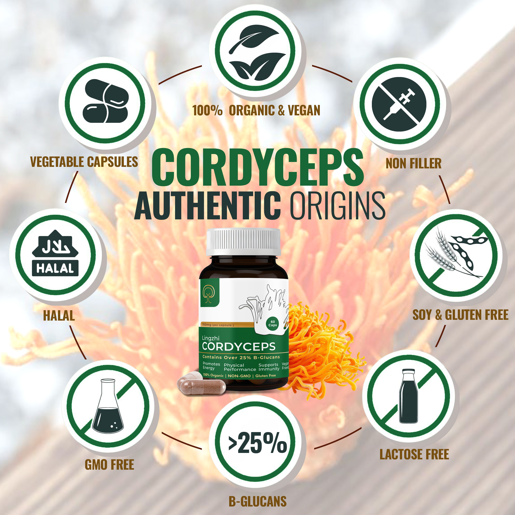 Cordyceps Capsules - Image 2