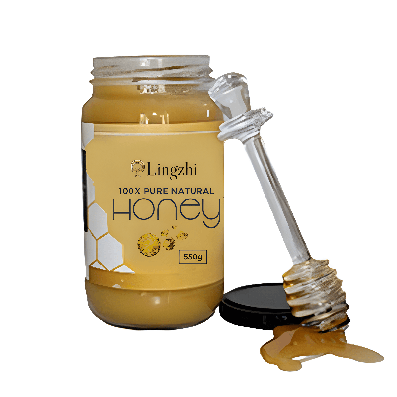 Lingzhi Honey - Image 2