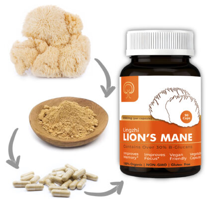 Lion's Mane Capsules