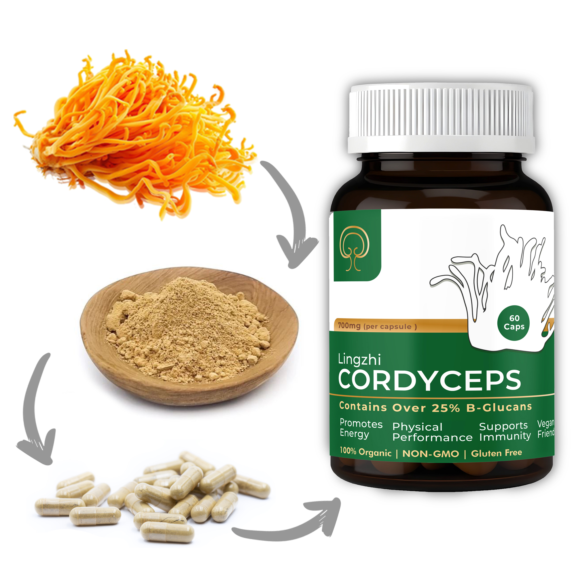 Cordyceps Capsules
